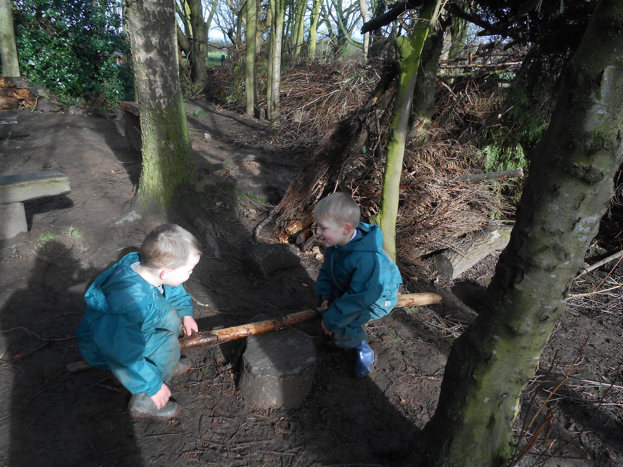 Image of See saw