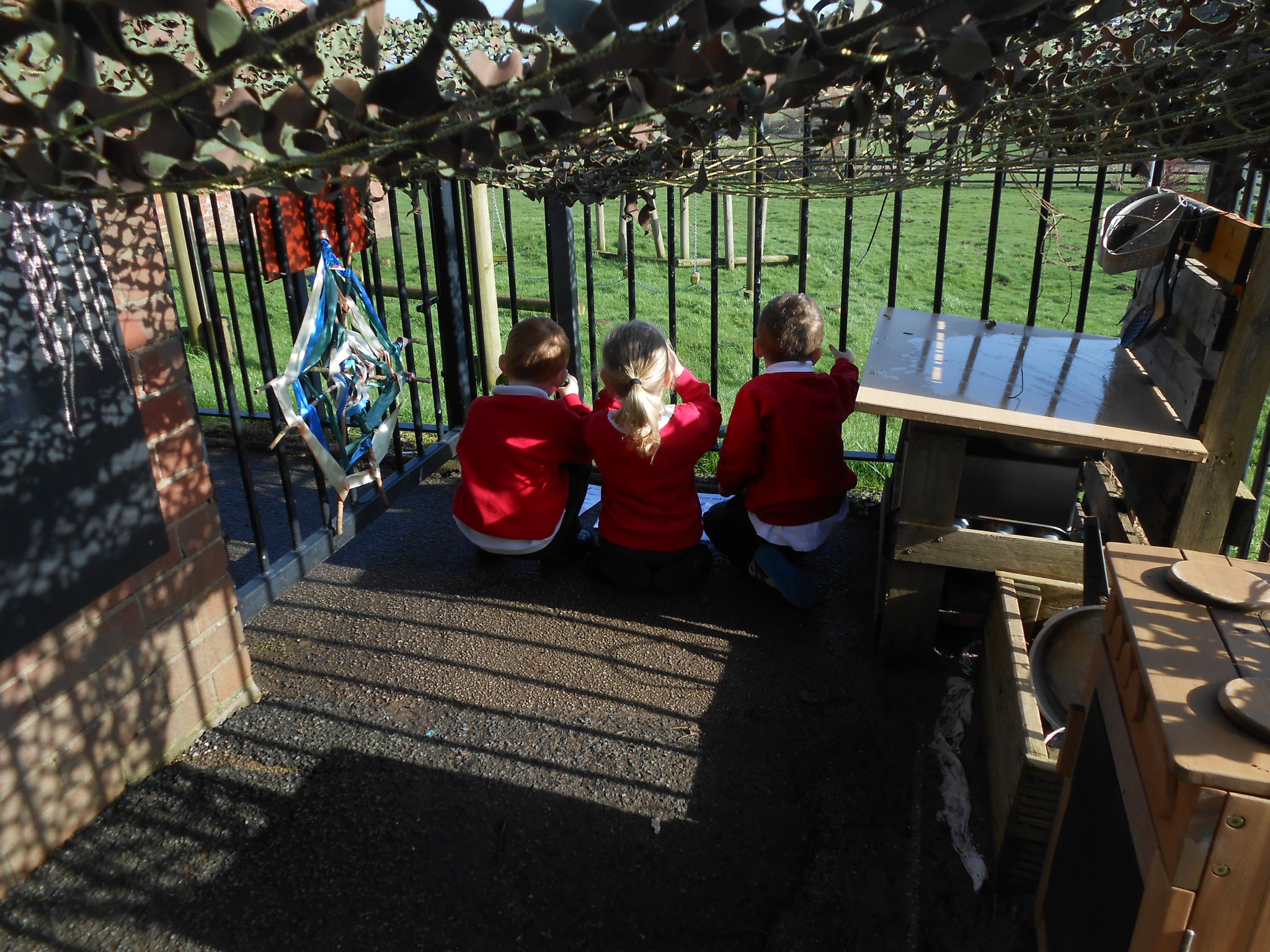 Image of Bird watching