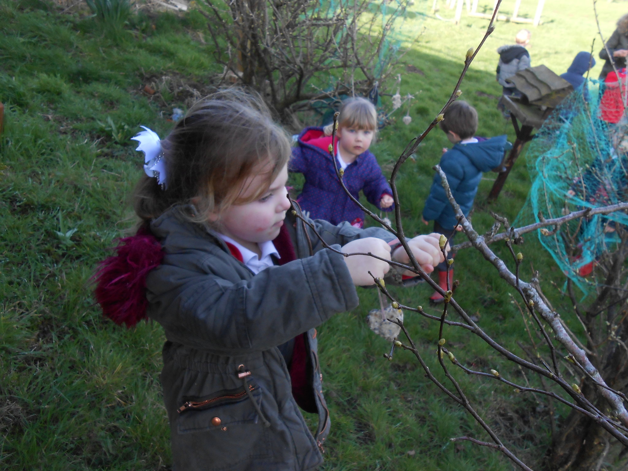 Image of Bird feeders