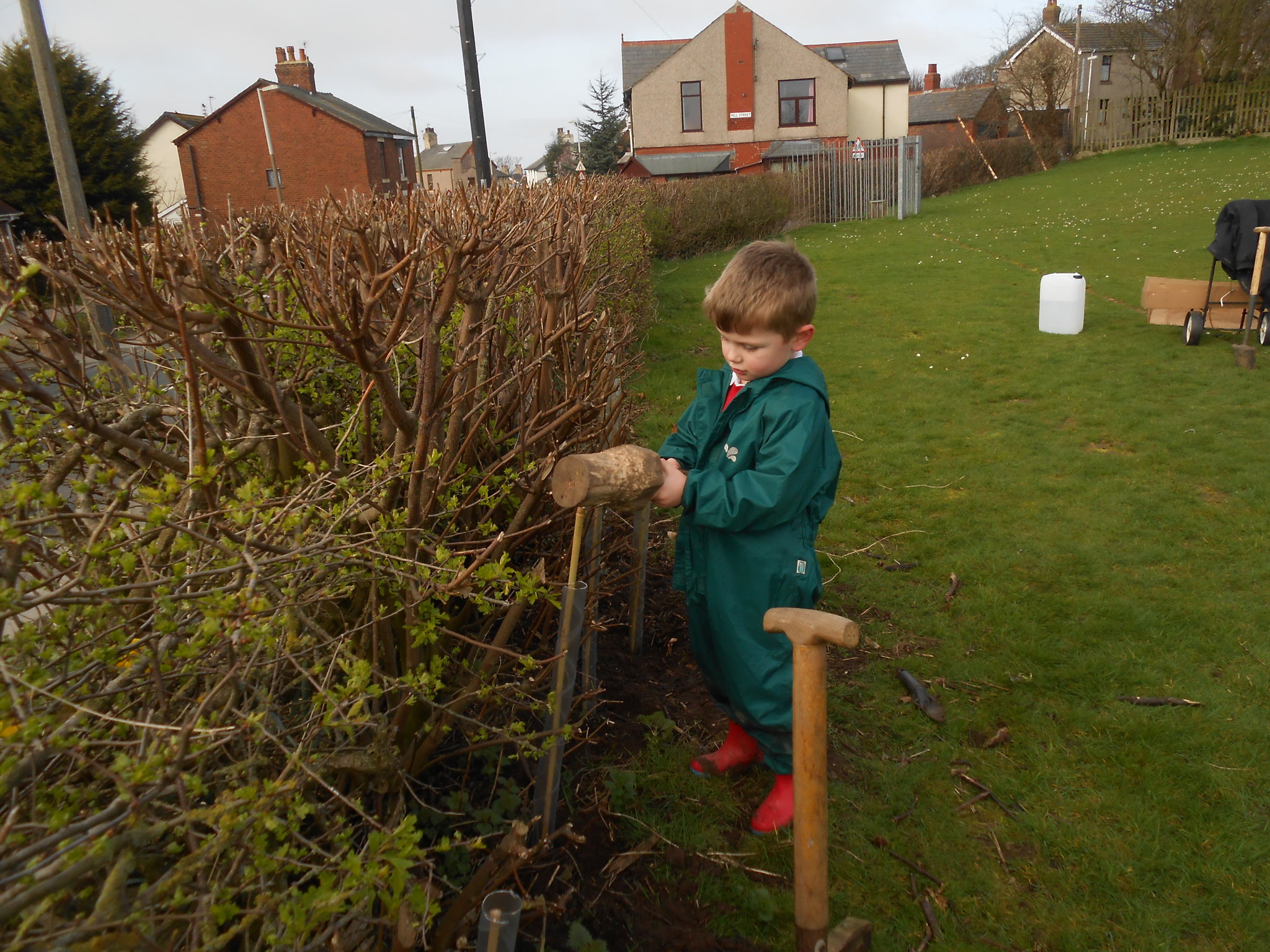 Image of Tree planting