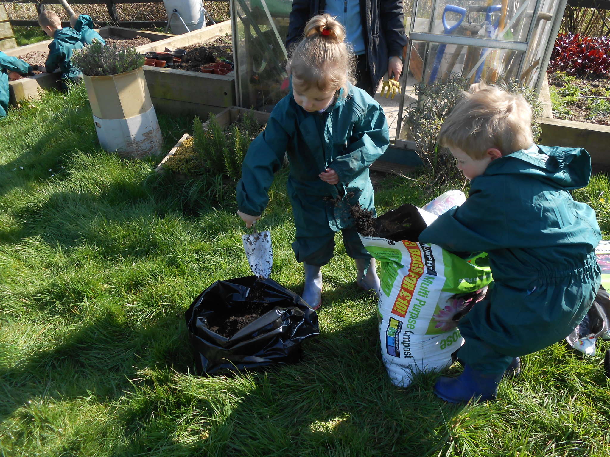 Image of Planting potatoes