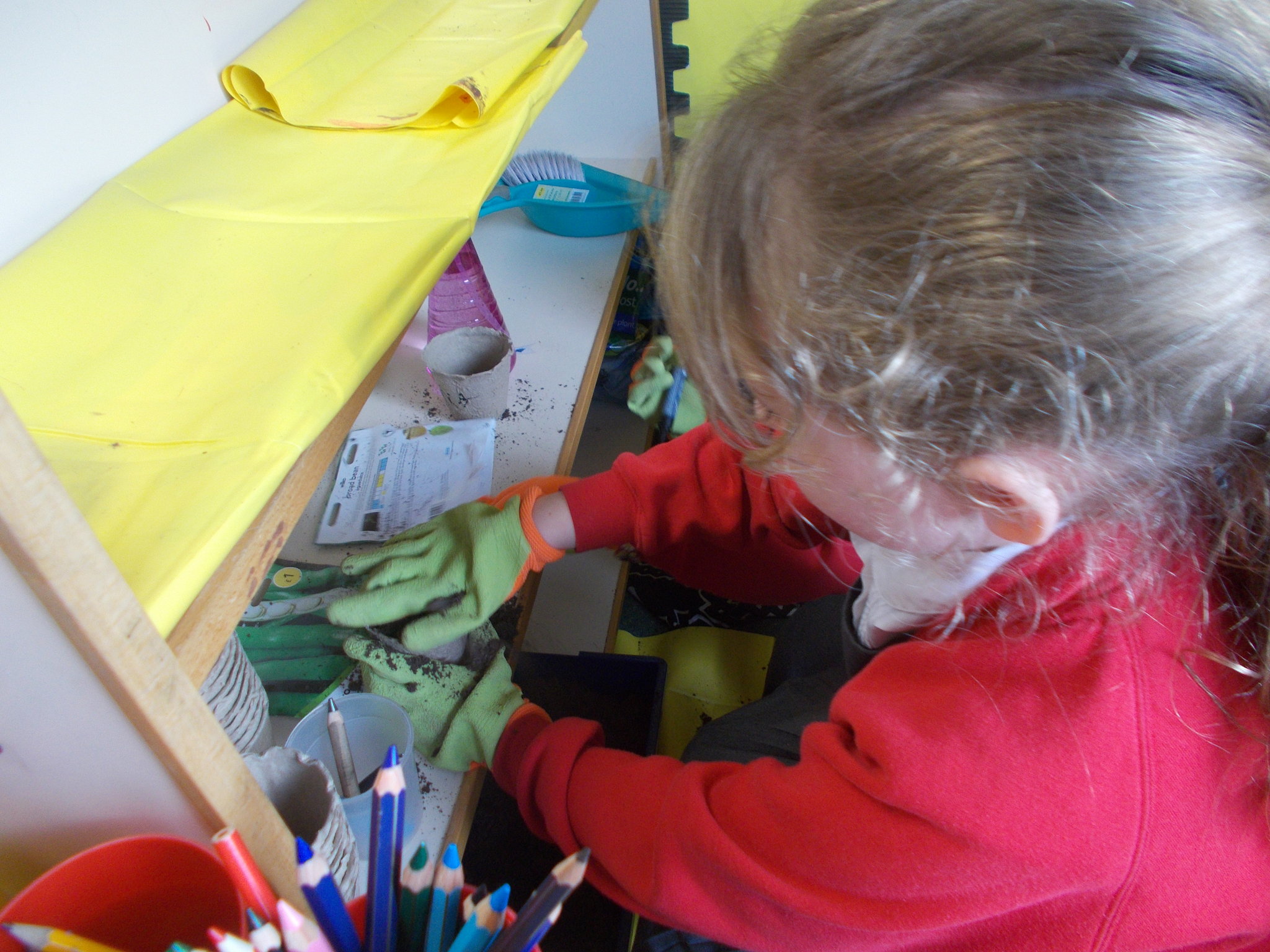 Image of Science Area