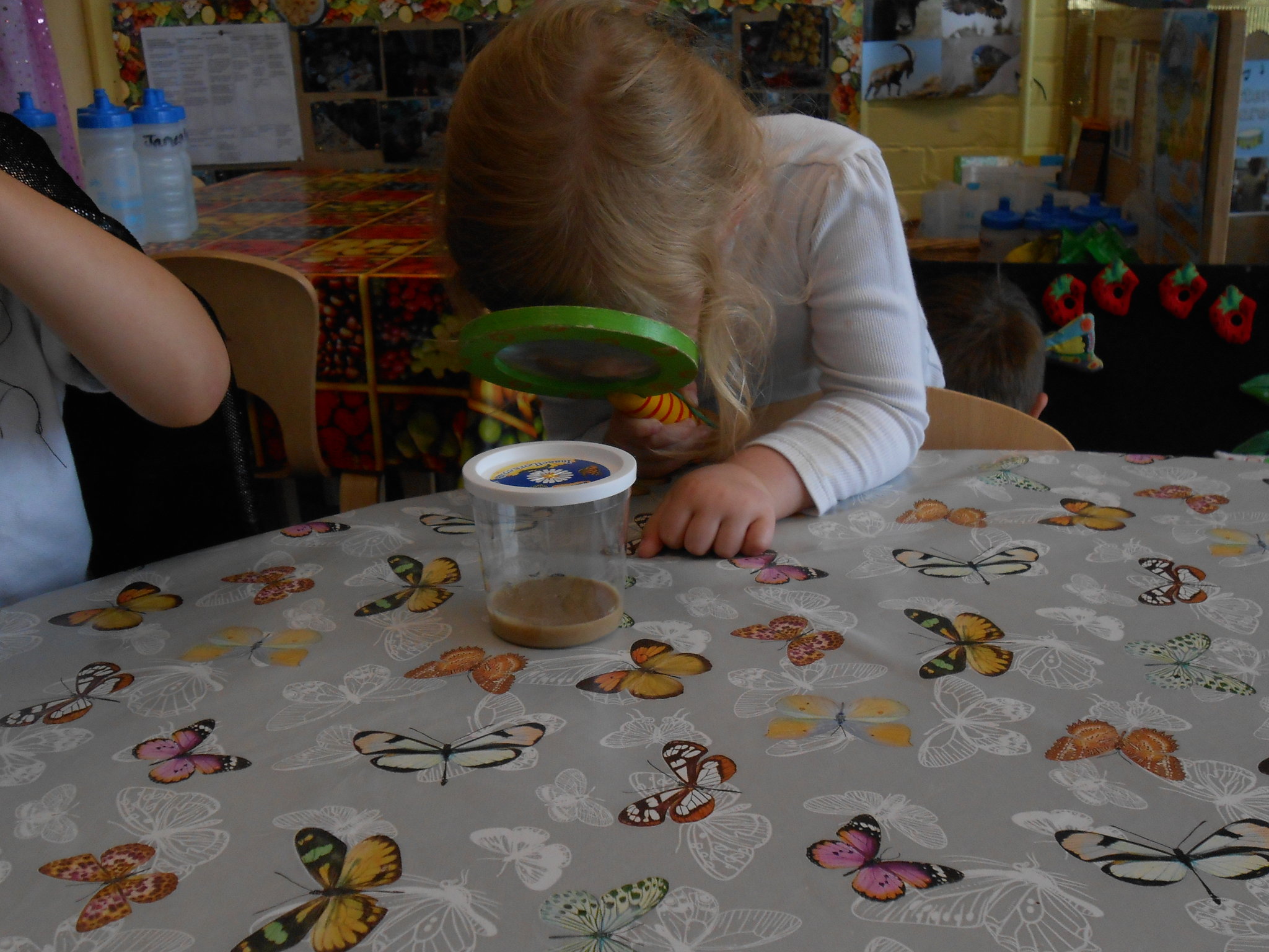 Image of Our Hungry Caterpillars