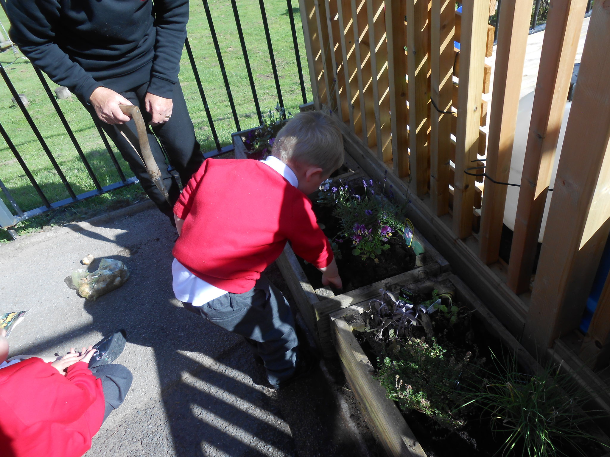 Image of Planting