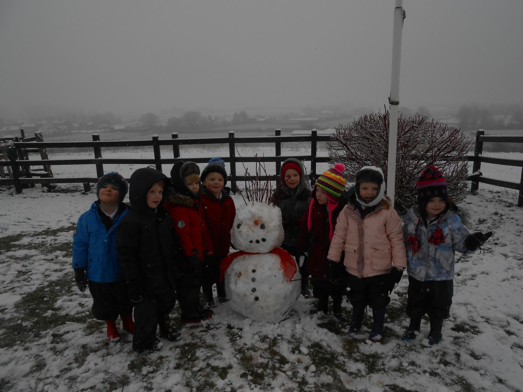 Image of Snow