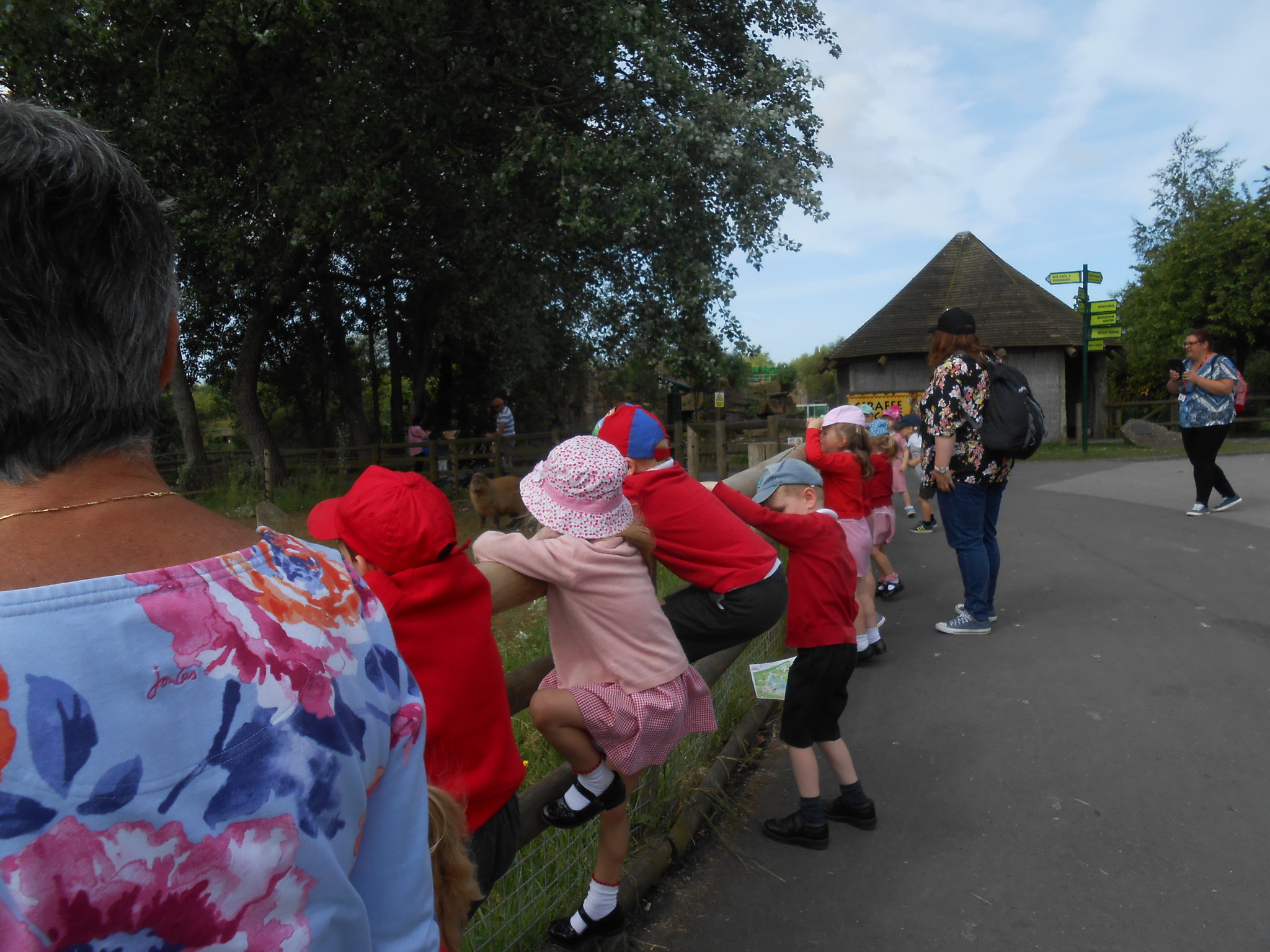 Image of zoo