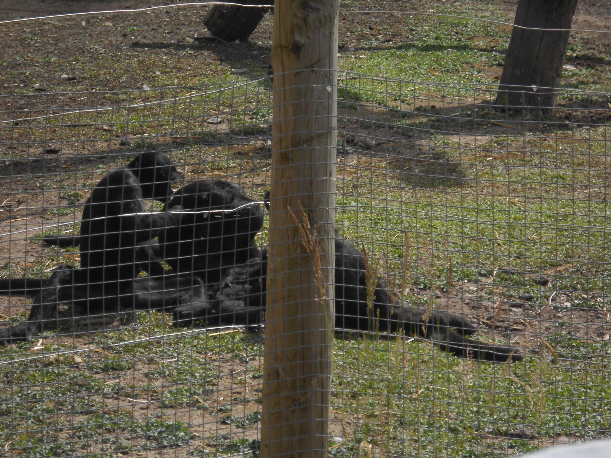 Image of zoo