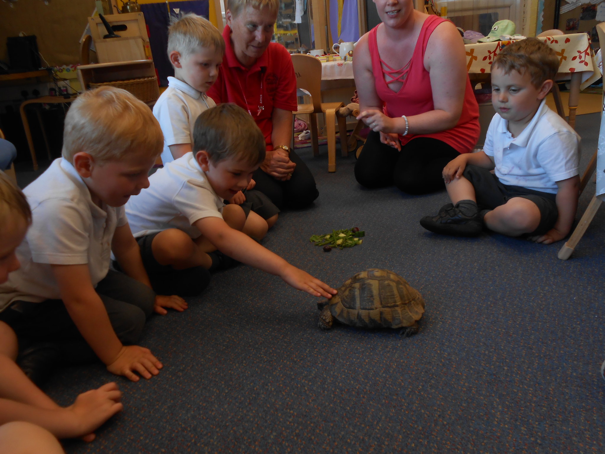 Image of Special visitor