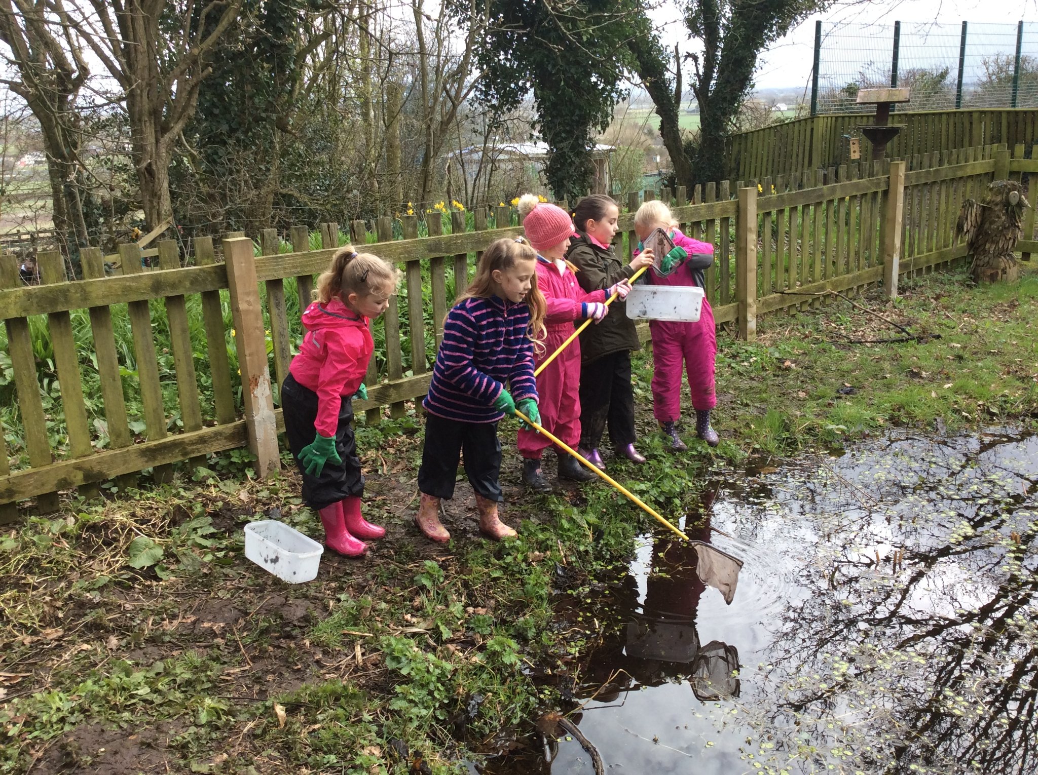 Image of Pond Dipping