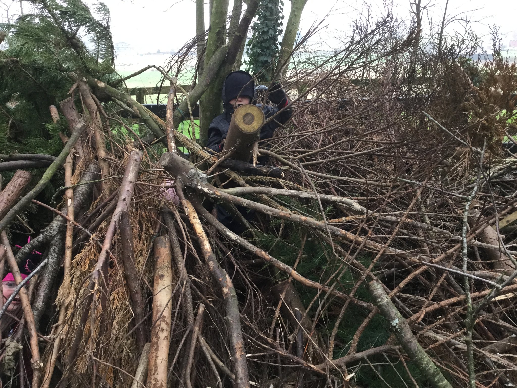 Image of Big den build