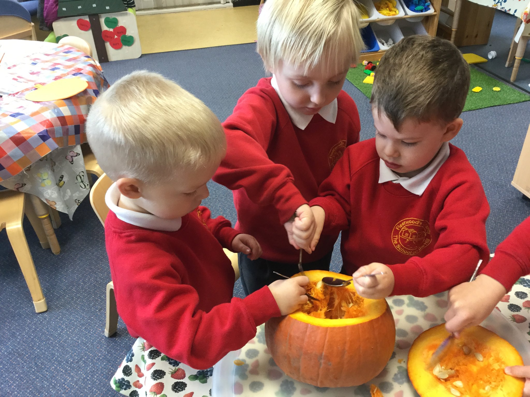 Image of Pumpkin investigation