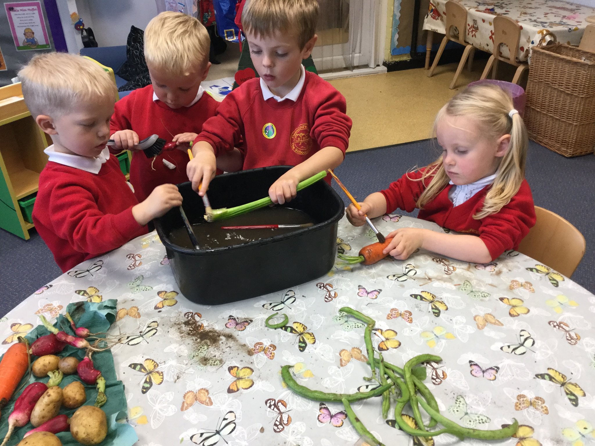 Image of Washing vegetables