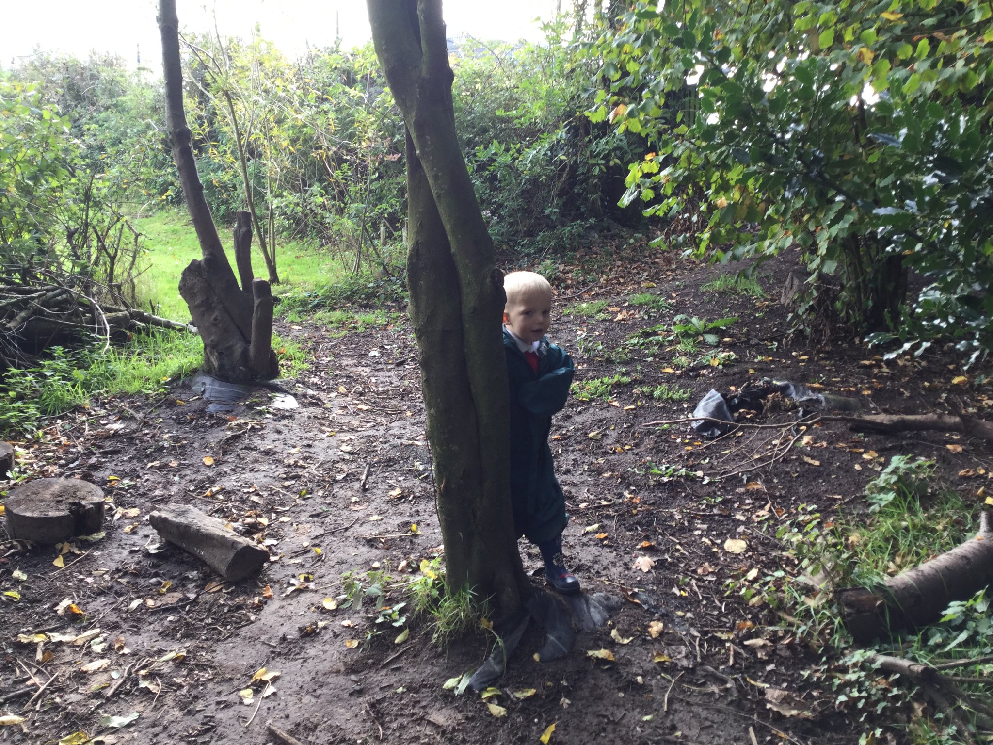 Image of Hide and seek