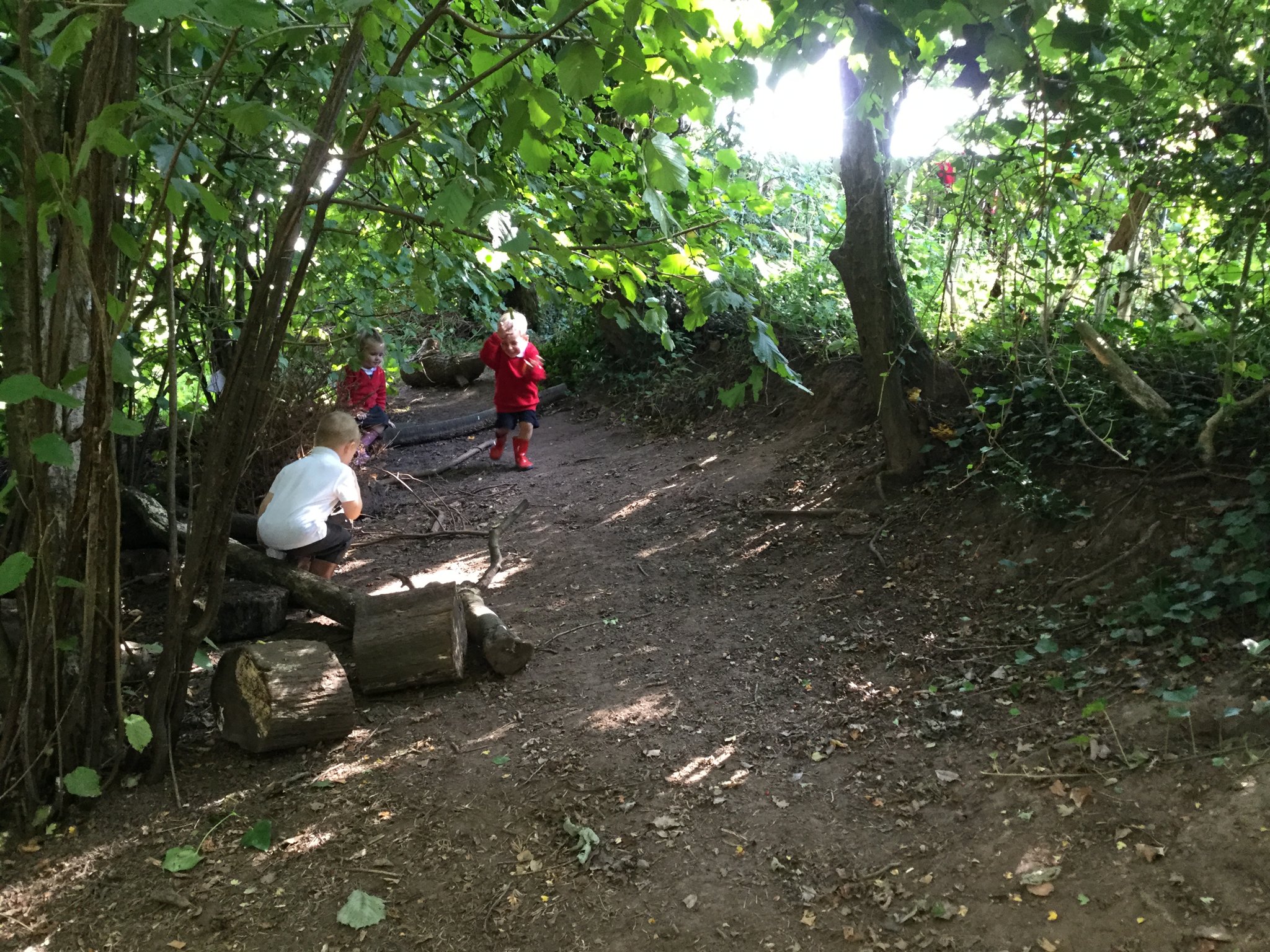 Image of Forest explorers