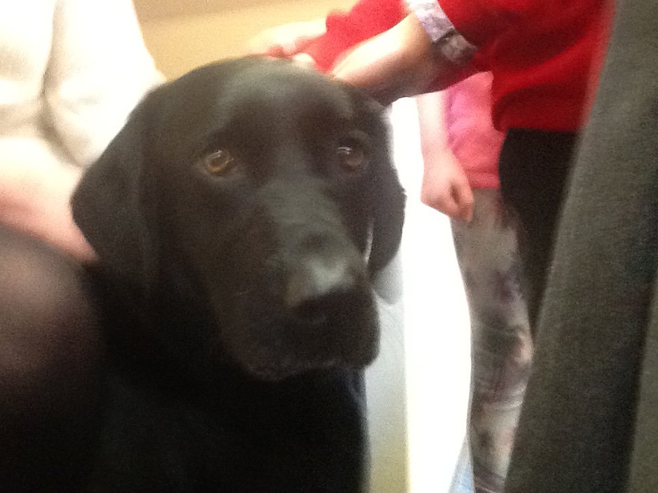 Image of A Very Special Visitor