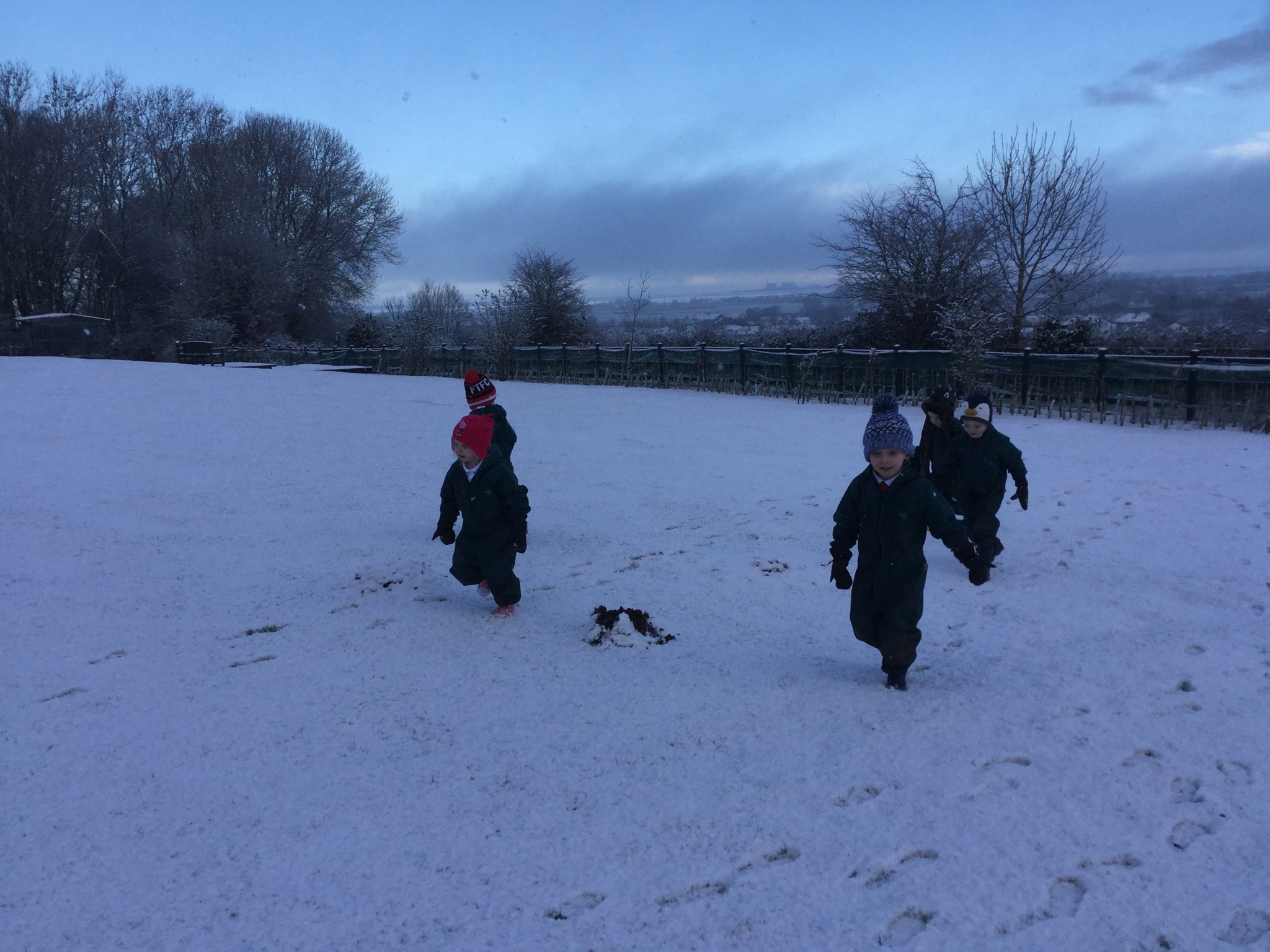 Image of Snowy day