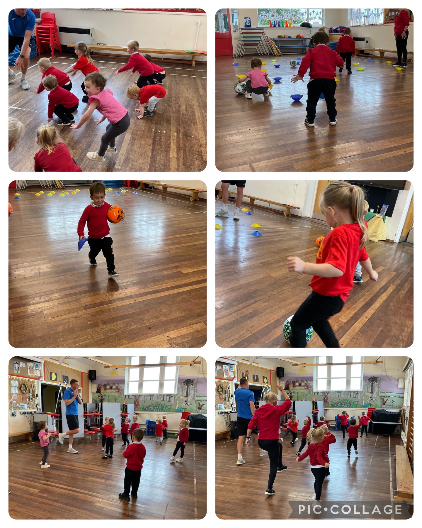Image of Week 4 in Beech Class