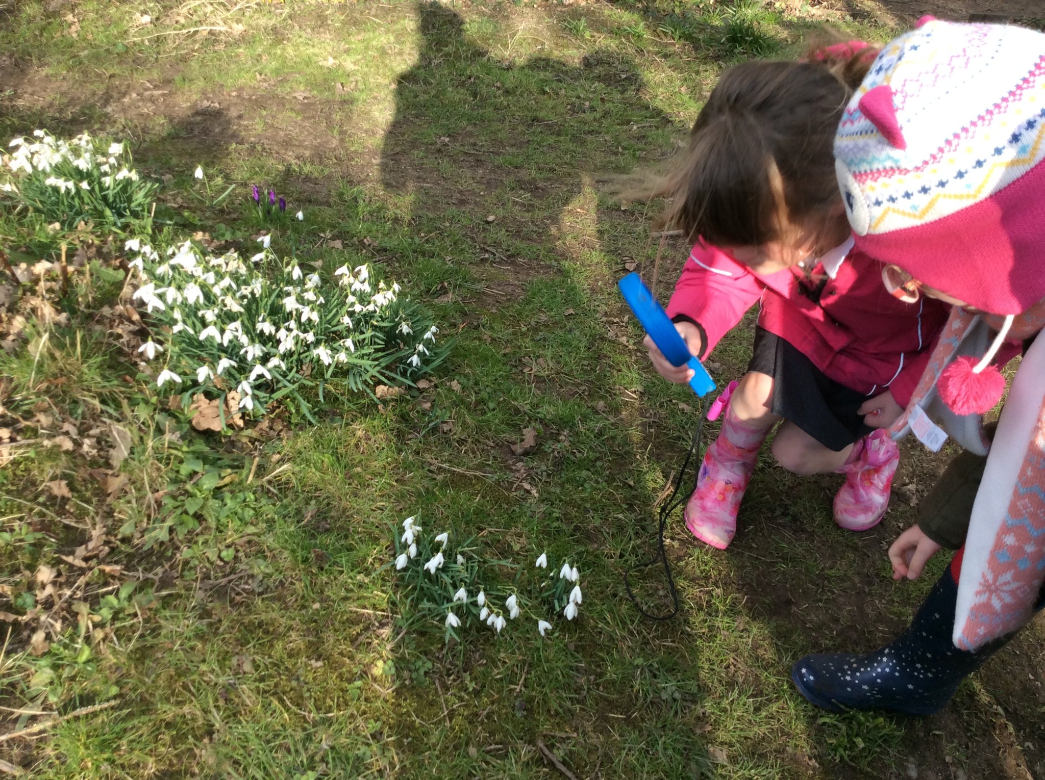 Image of Spring Walk