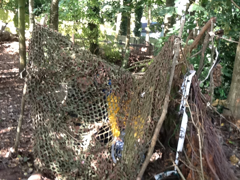Image of Camouflage