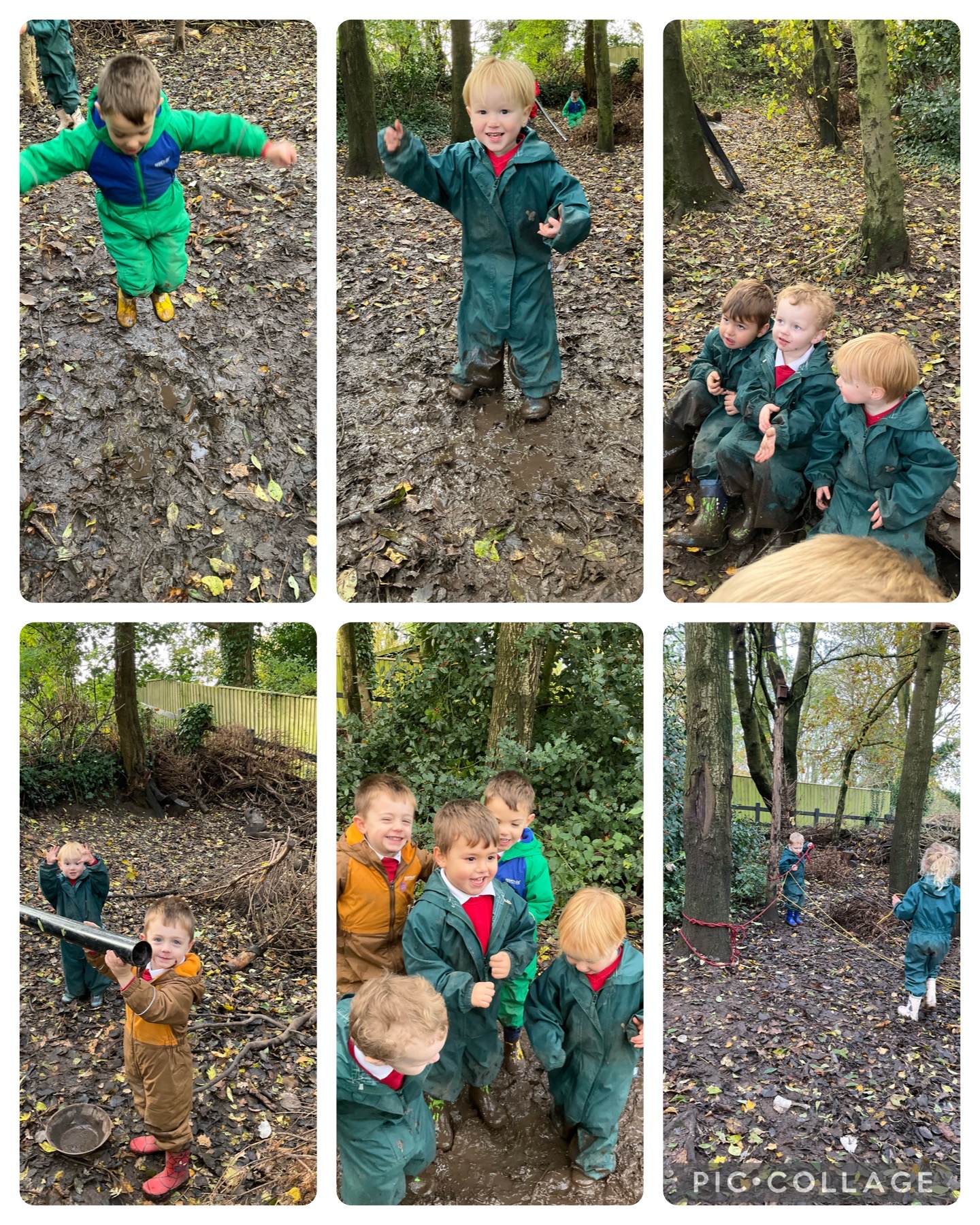 Image of Week 9 in Beech Class