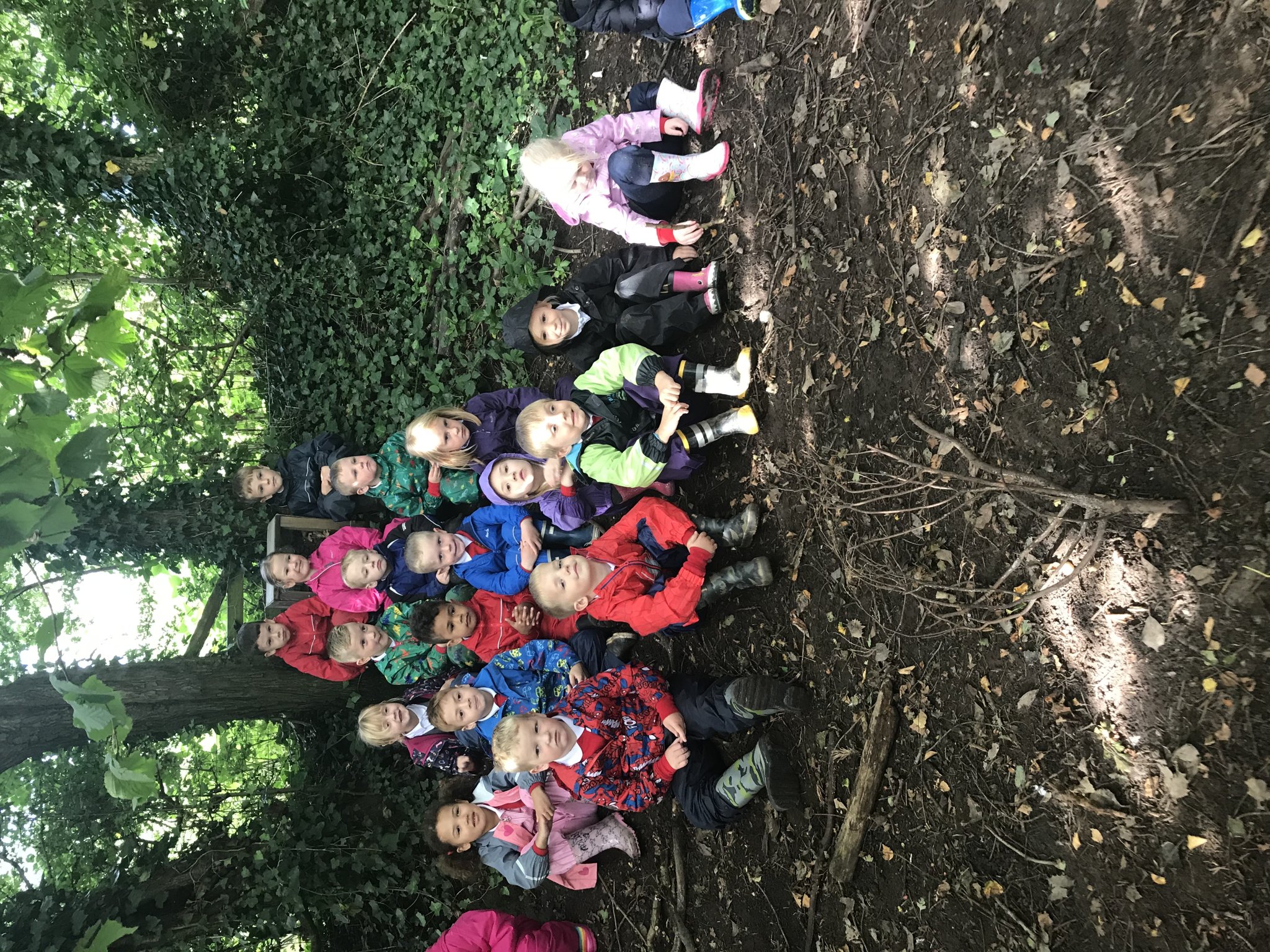 Image of Welcome to the Forest