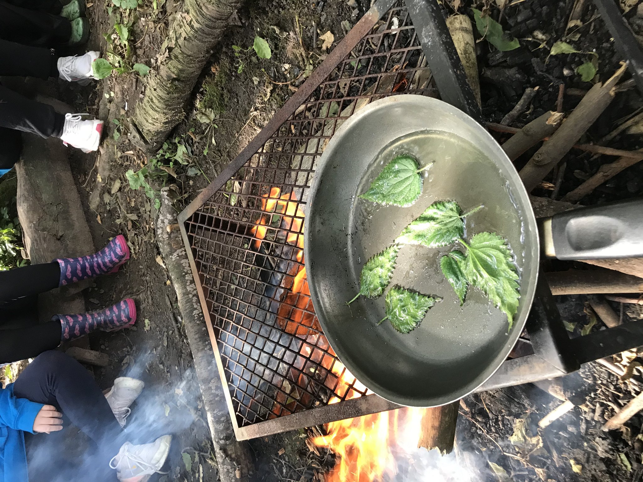 Image of Nettle crisps