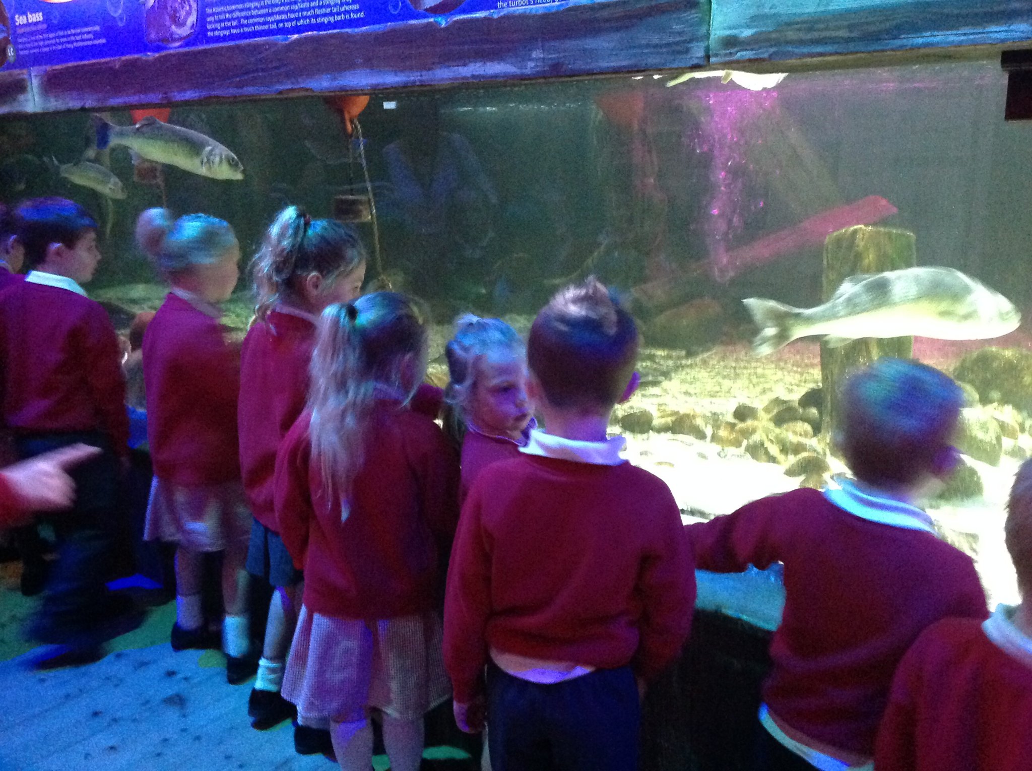 Image of Sea Life Centre/Lifeboat Station