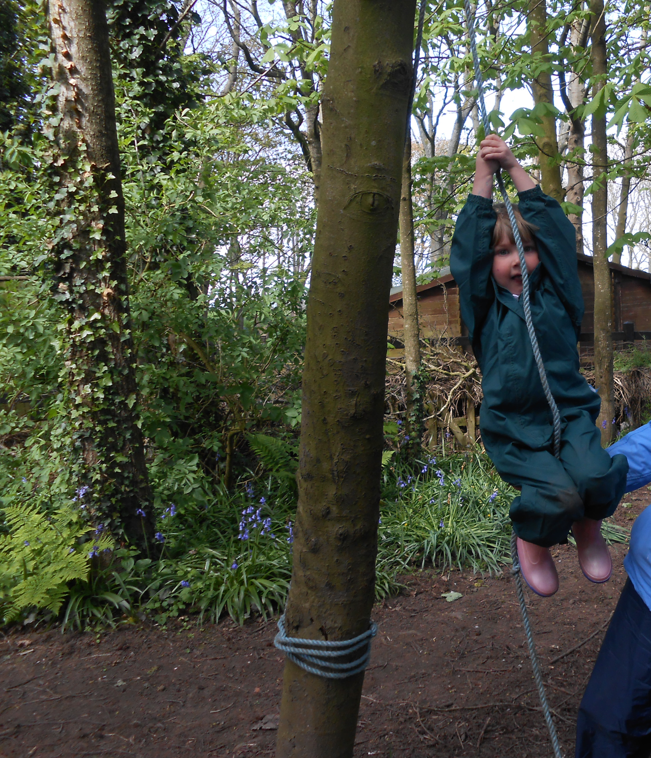 Image of Jack and the Beanstalk