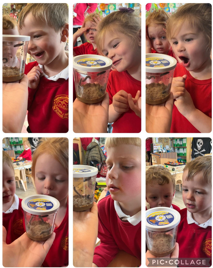 Image of Weeks 27, 28 & 29 in Beech Class