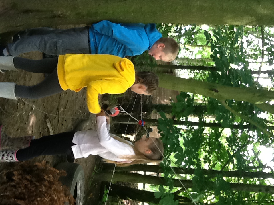Image of Forest Session