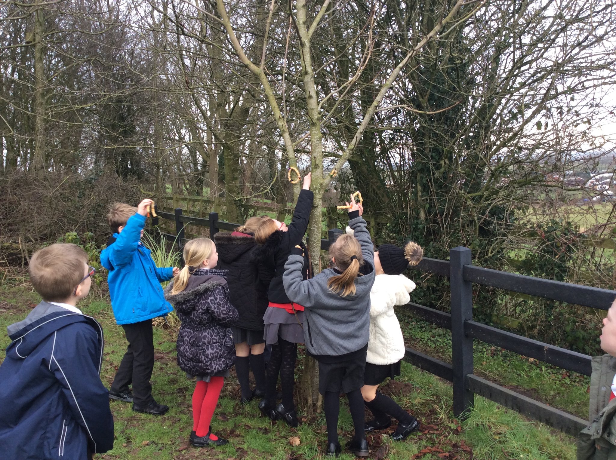 Image of Birdwatch