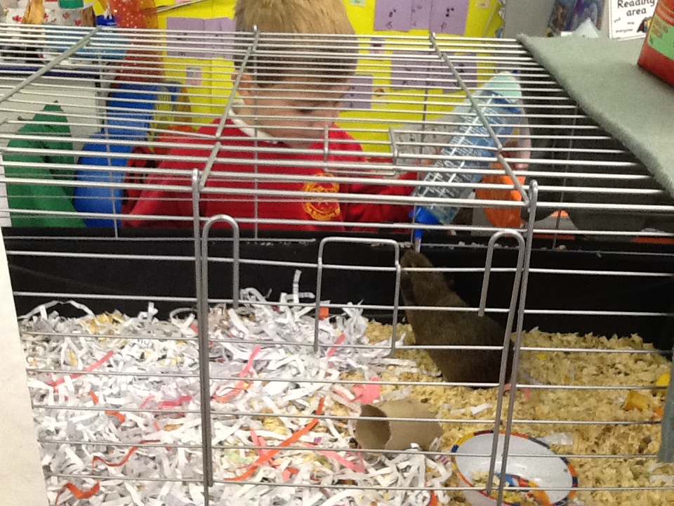 Image of Our new friends...