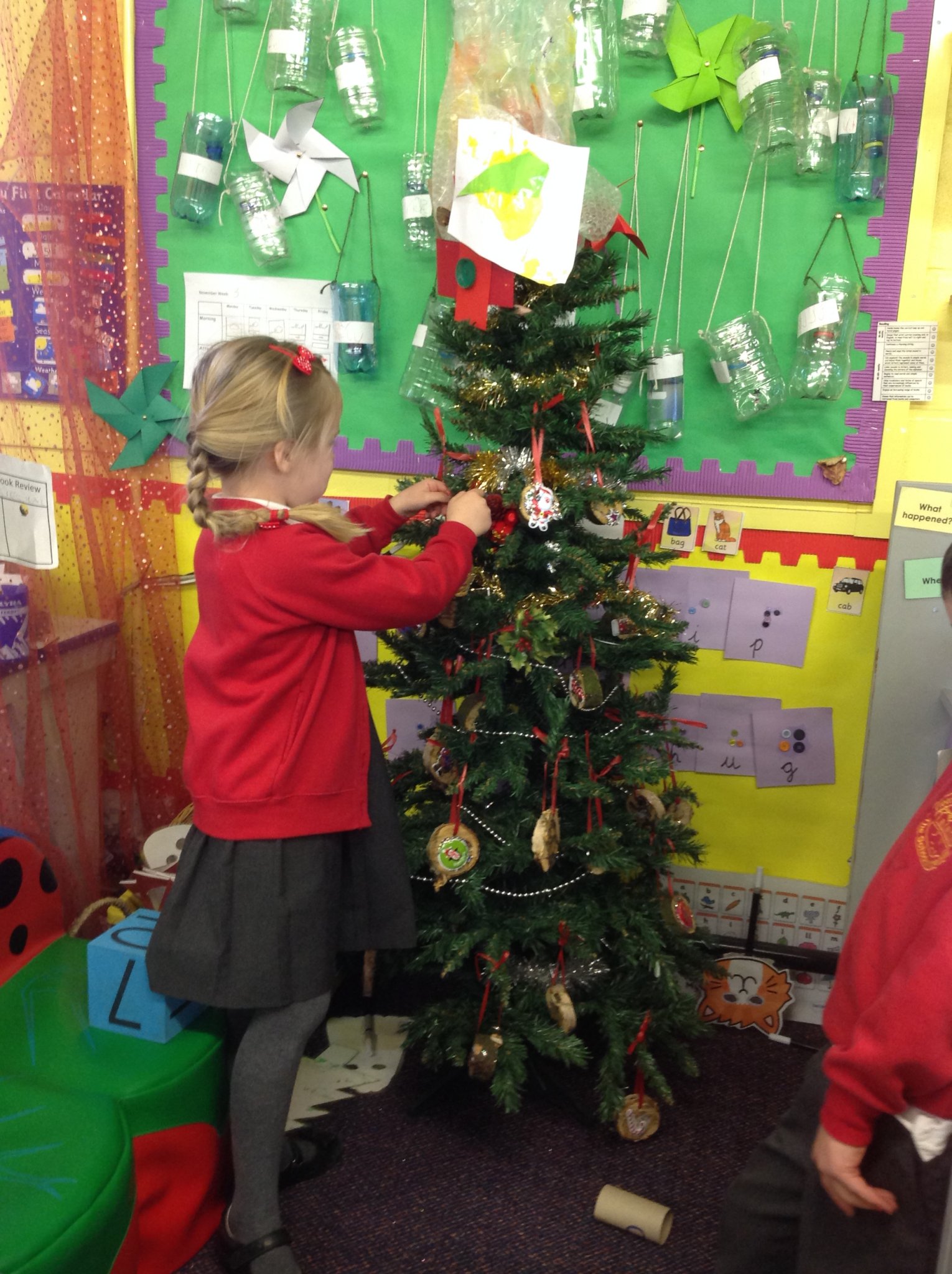 Image of Our Ash Class tree
