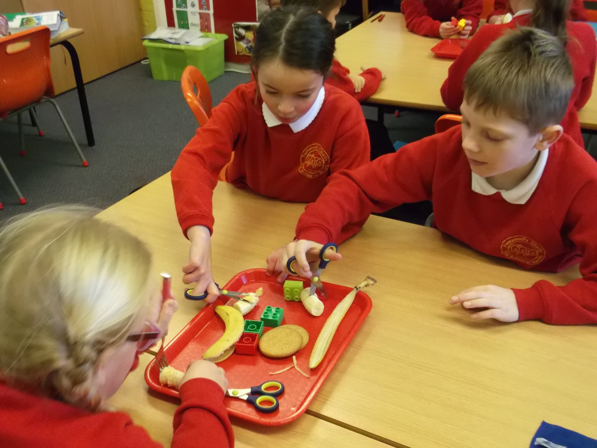 Image of Science - Teeth and Eating