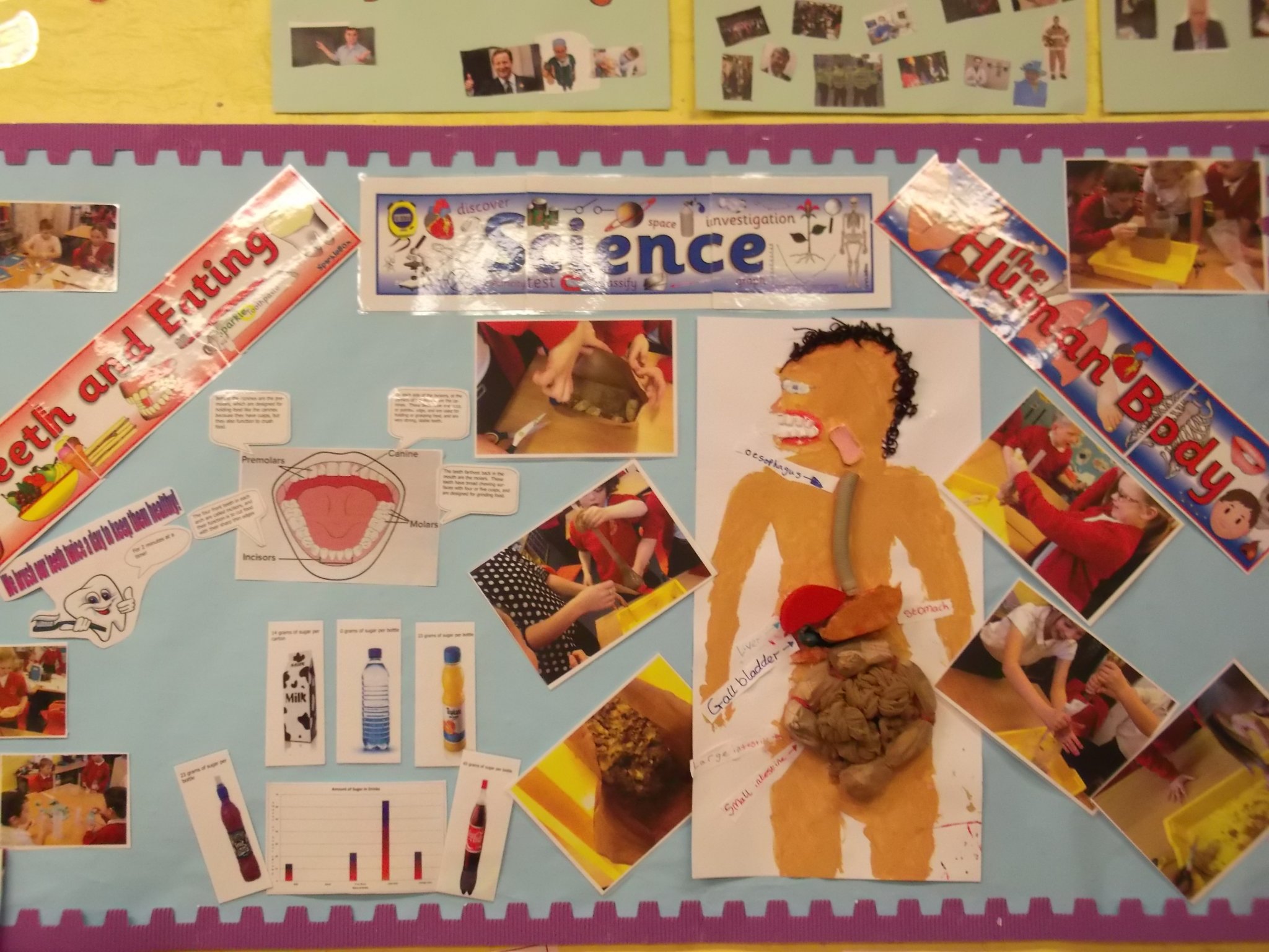 Image of Science Display