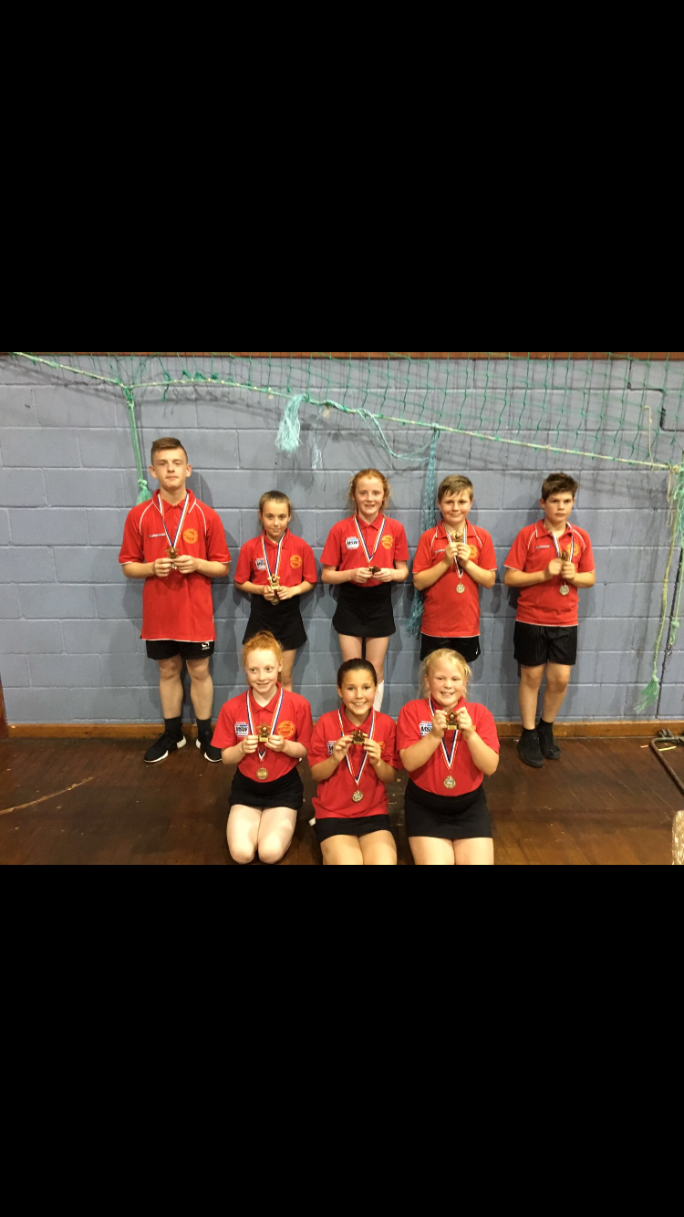 Image of Gala Netball