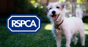 Image of Supporting the RSPCA