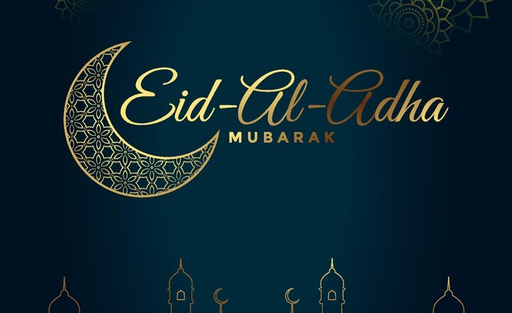 Image of FROGGY NEWS - 14.06.24