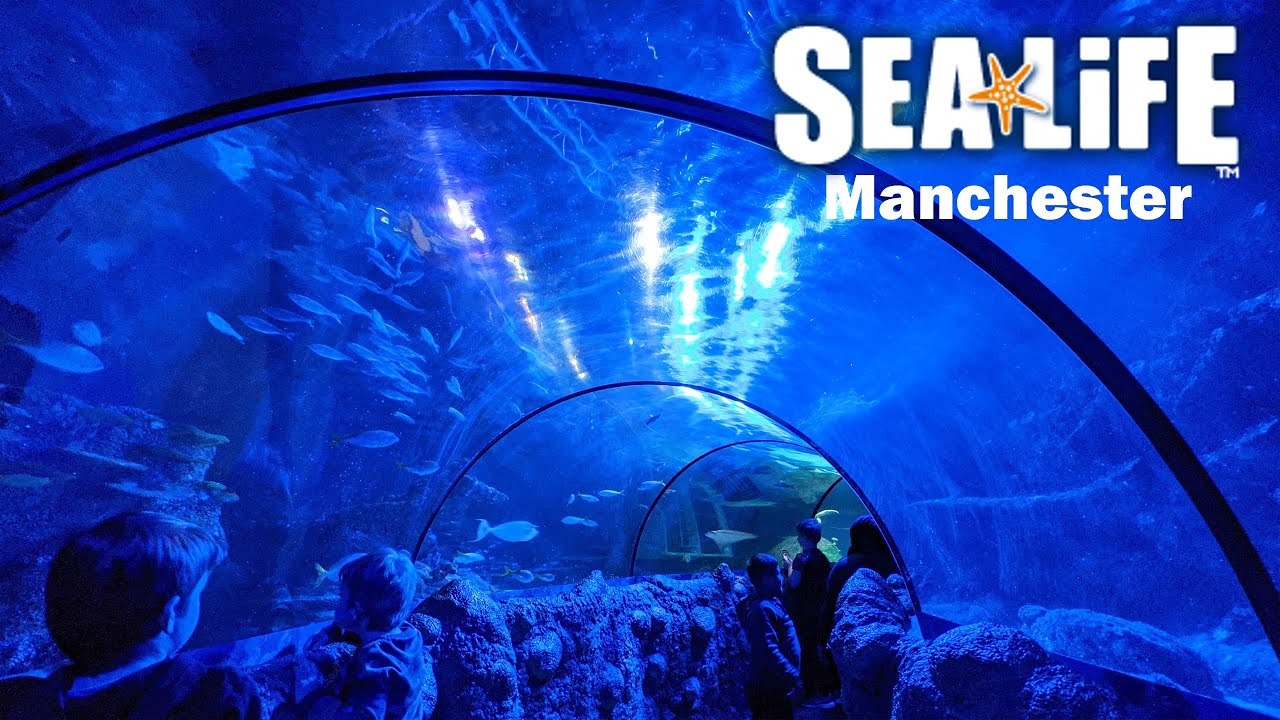 Image of Reception trip to Sea Life - RGM & half of RSJ