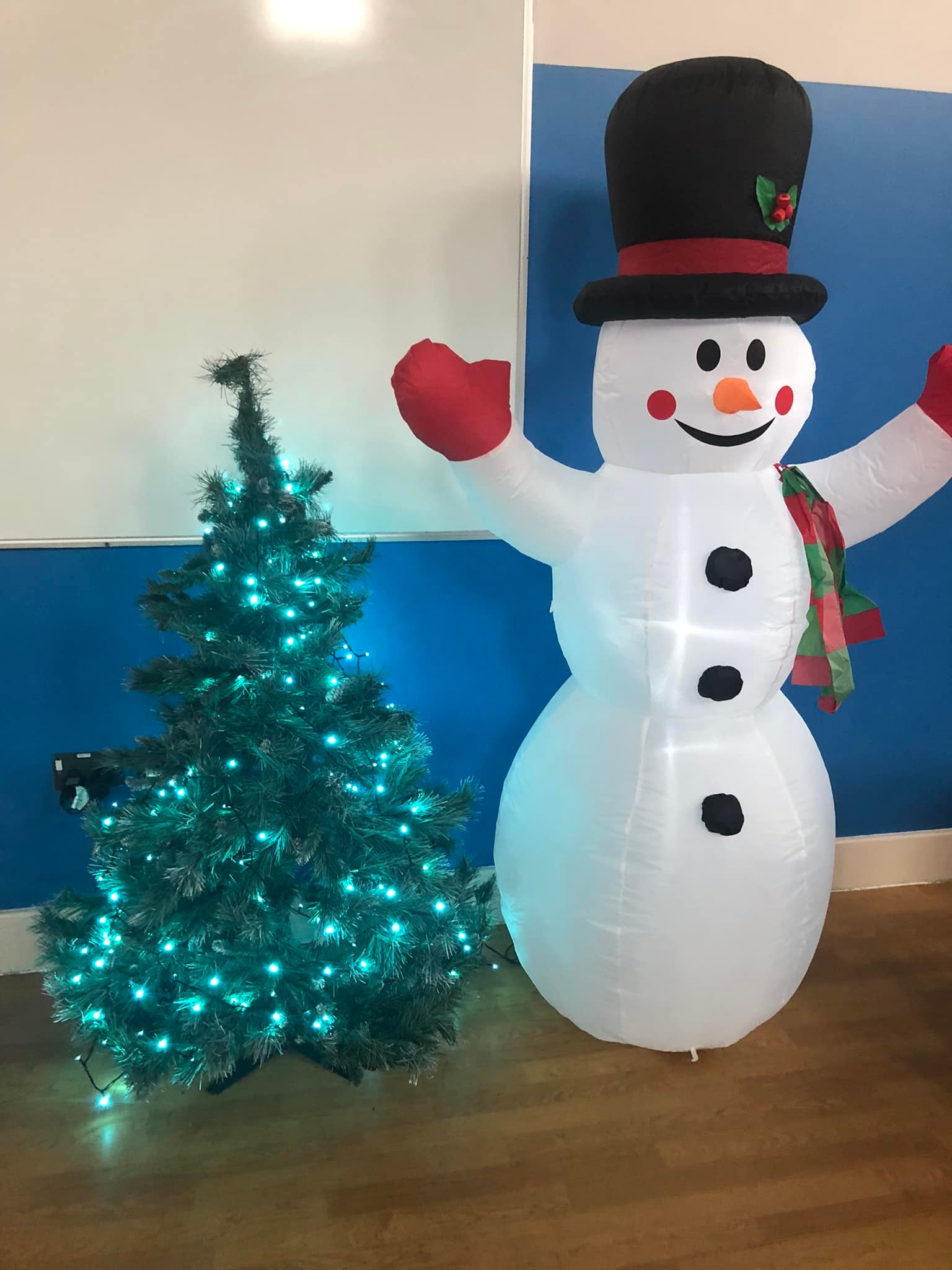 Image of FROGGY NEWS - 22.12.24