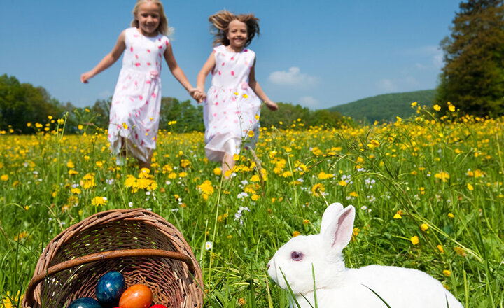 Image of Easter Family Fun