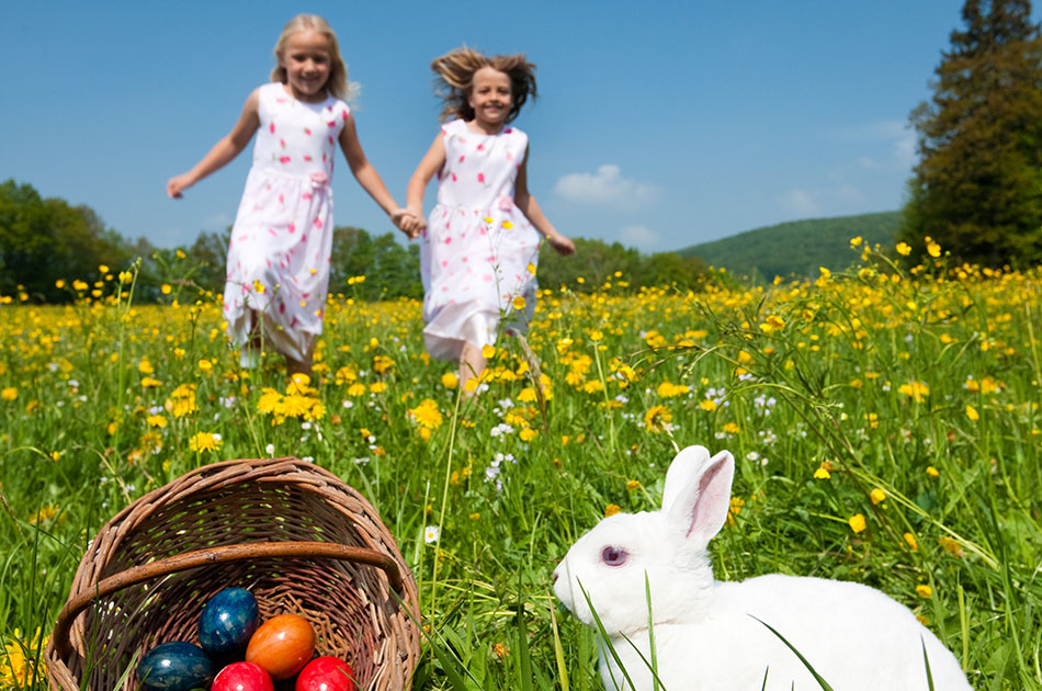 Image of Easter Family Fun