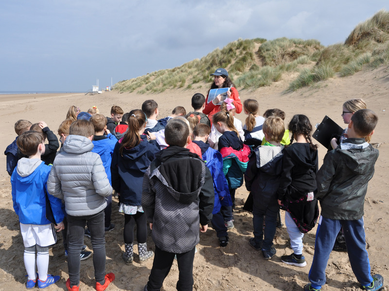 Image of Year 3 Sefton Coast Visits