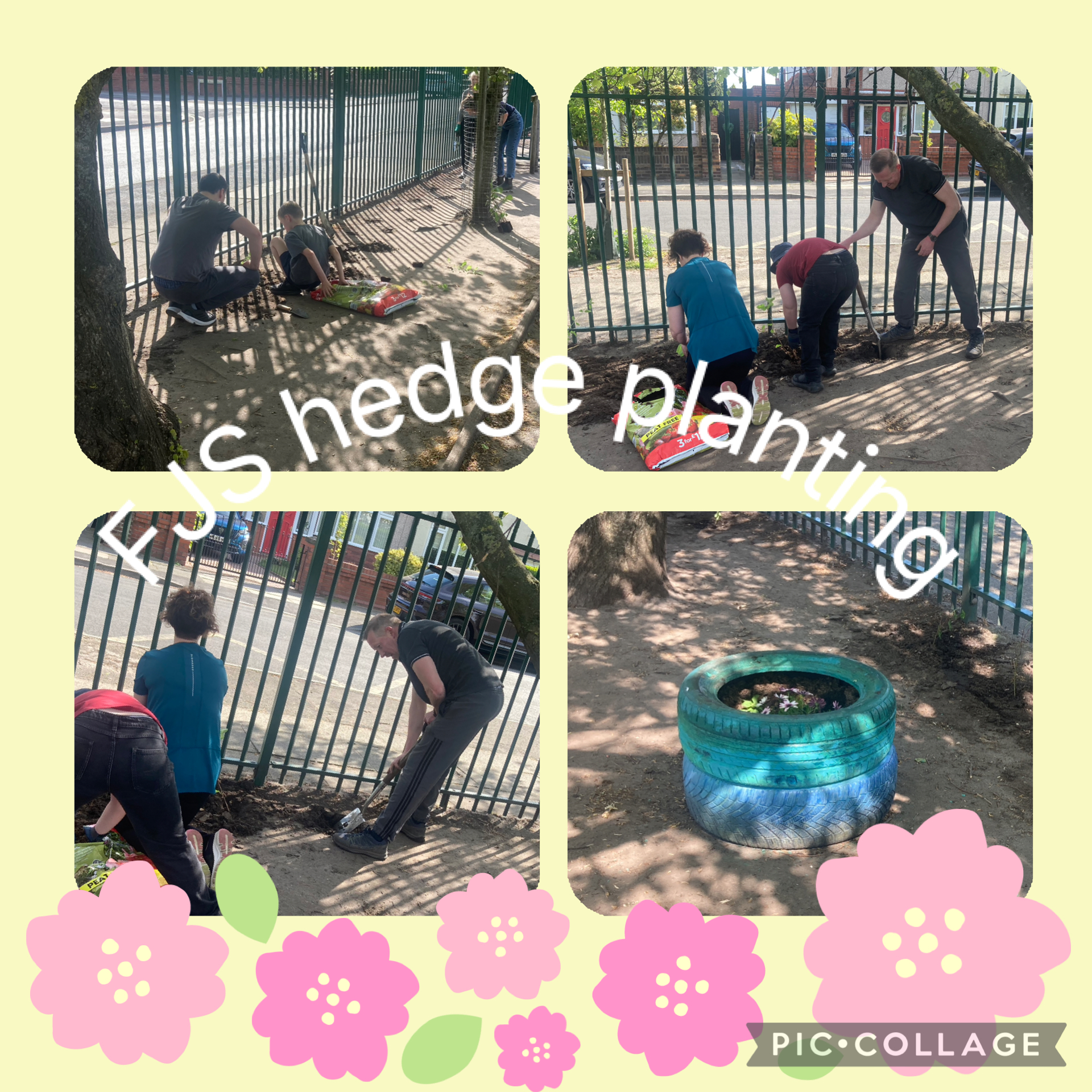 Hedge Planting in the Sunshine 