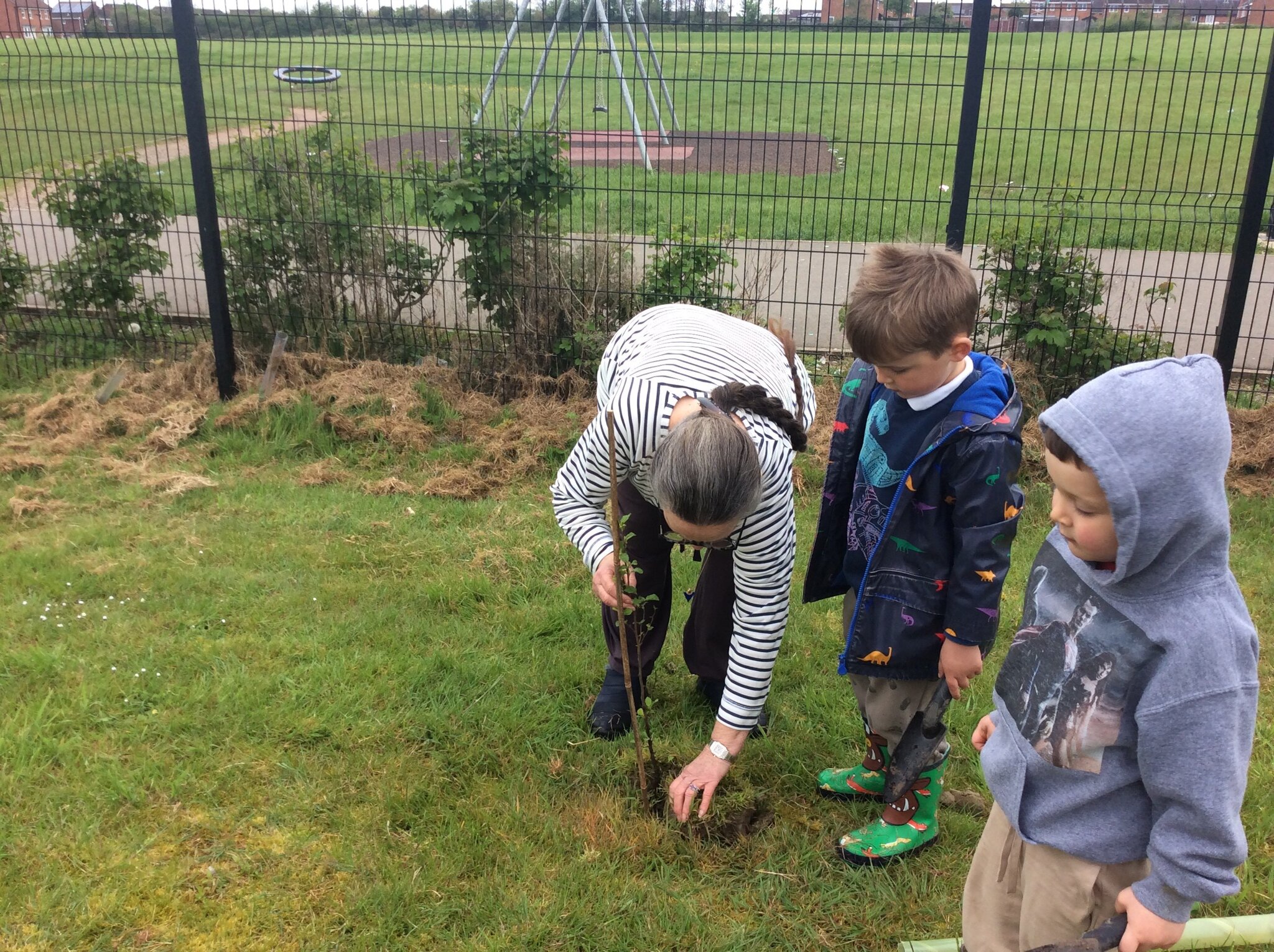 Image of Tree Planting at Forest & Sandridge!