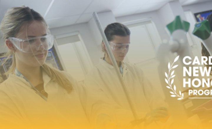 Image of Inspiring Ambition: Pupils Discover Opportunities Through the Honours Programme