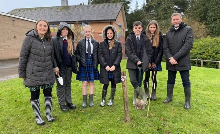 Image of Plant a Tree for the Jubilee