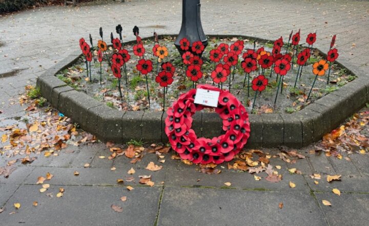 Image of Remembrance Day