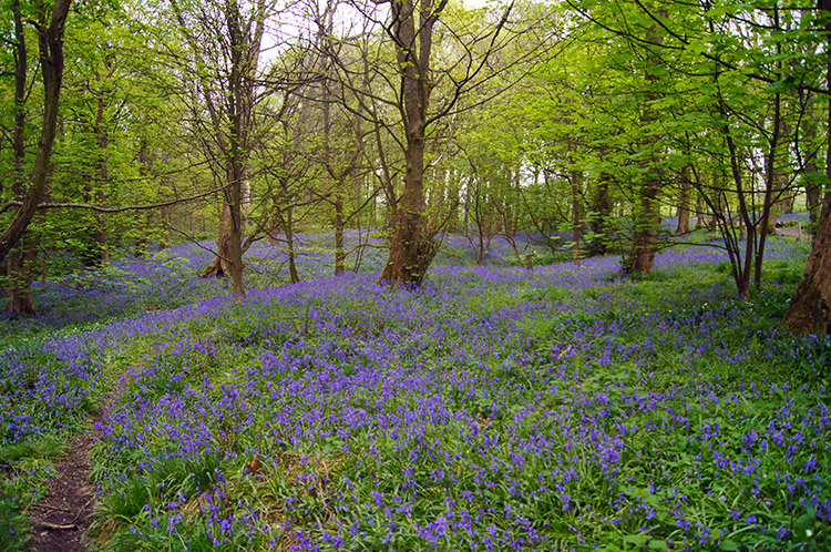 Image of Bank Holiday