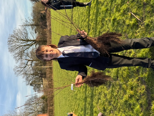 Image of A Treemendous time ahead for Garstang Community Academy Students